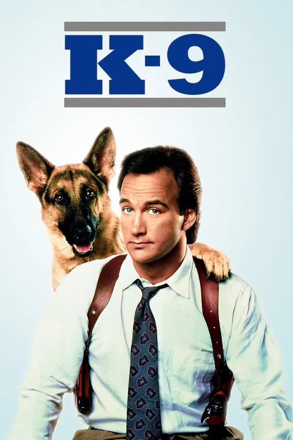 13 (2010) movie available on our IPTV subscription plan